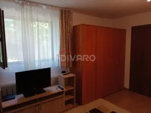 Vanzare proprietate cu doua case si intrari separate curte Giulesti - imagine 26