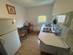 Inchiriere apartament doua camere mansarda vila D+P+1+M Cotroceni - imagine 12
