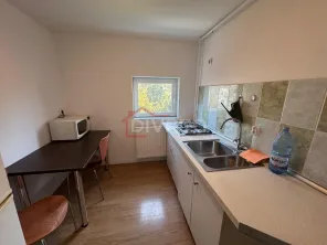 Inchiriere apartament doua camere mansarda vila D+P+1+M Cotroceni - imagine 13