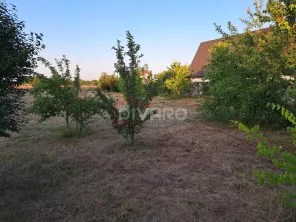 Vanzare teren intravilan imprejmuit 800mp Buftea - imagine 14