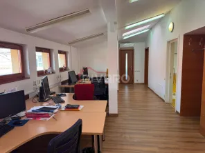 Inchiriere vila 12 camere S+P+1+M Cotroceni metrou ideal birouri - imagine 22