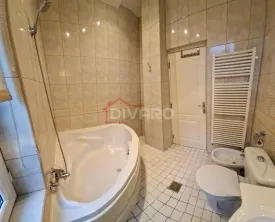 Vanzare apartament trei camere transformate in doua vila Armeneasca - imagine 9