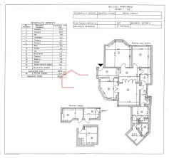 Vanzare apartament patru camere in vila cartierul Armenesc curte - imagine 2