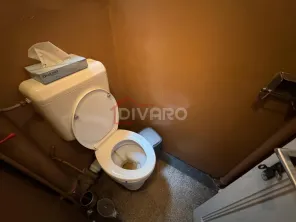 Vanzare apartament patru camere in vila cartierul Armenesc curte - imagine 16