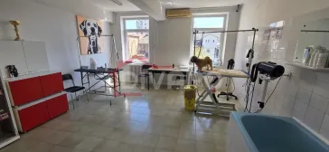 Vanzare imobil D+P+2+M Sebastian LIDL ideal clinica/birouri/rezidenta - imagine 9