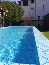 Vanzare vila cu trei apartamente piscina garaj gradina foisor Titulescu - imagine 18