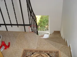 Vanzare vila cu trei apartamente piscina garaj gradina foisor Titulescu - imagine 17
