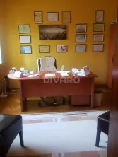 Vanzare vila cu trei apartamente piscina garaj gradina foisor Titulescu - imagine 13