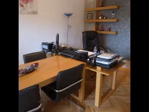 Vanzare vila singur curte Palatul Cotroceni ideala birouri - imagine 7