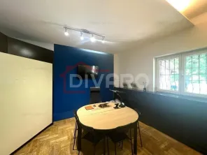 Vanzare vila singur curte Palatul Cotroceni ideala birouri - imagine 19