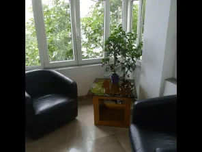 Vanzare vila singur curte Palatul Cotroceni ideala birouri - imagine 6