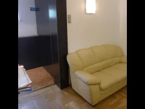 Vanzare vila singur curte Palatul Cotroceni ideala birouri - imagine 9