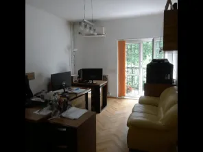 Vanzare vila singur curte Palatul Cotroceni ideala birouri - imagine 5