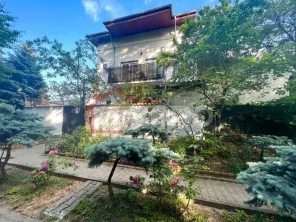 Vanzare vila singur curte Palatul Cotroceni ideala birouri - imagine 17