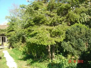 Vanzare teren Plevnei Opera ideal birouri - imagine 2