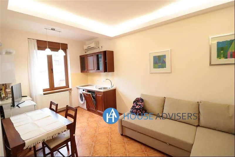 Inchiriere apartament 2 camere in vila Cismigiu - imagine 1