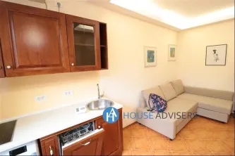 Inchiriere apartament 2 camere in vila Cismigiu - imagine 3