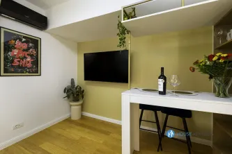 Inchiriere garsoniera Romana 35 euro/zi - imagine 7