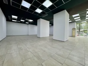 De inchiriat - spatiu comercial 252mp - Titulescu - Victoriei - imagine 5