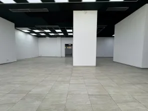 De inchiriat - spatiu comercial 252mp - Titulescu - Victoriei - imagine 3