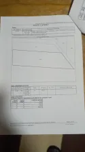 Teren 22320 mp - Adunații Copaceni - imagine 4