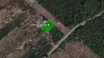Teren intravilan 1.936 mp, lângă pădure – Săbăreni, Giurgiu, langa DN7 - imagine 4