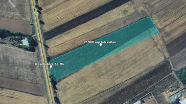 Teren Intravilan, 17500 mp, Timis, DN59 (E79), Acces din asfalt, 58 ml - imagine 3