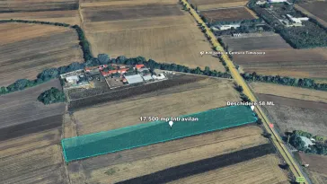 Teren Intravilan, 17500 mp, Timis, DN59 (E79), Acces din asfalt, 58 ml - imagine 7