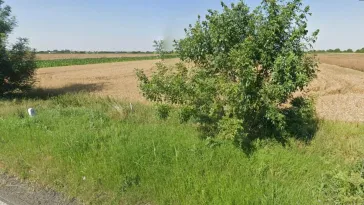 Teren Intravilan, 17500 mp, Timis, DN59 (E79), Acces din asfalt, 58 ml - imagine 11