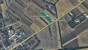 Teren Intravilan, 17500 mp, Timis, DN59 (E79), Acces din asfalt, 58 ml - imagine 4