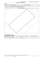 Teren Premium în Pasărea – 1.013 mp | Deschidere 22m | Oază de liniște - imagine 8