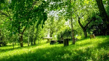 Domeniu exclusivist cu izvor propriu – Cheile Turzii / Munții Apuseni - imagine 10