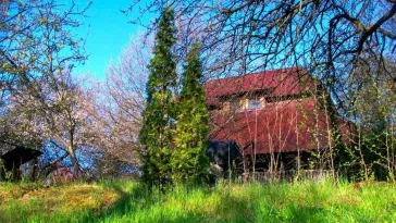 Domeniu exclusivist cu izvor propriu – Cheile Turzii / Munții Apuseni - imagine 7