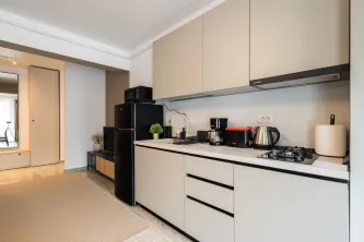 Apartament Central Address Residence cu un venit lunar intre 600-1000€ - imagine 6