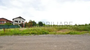 Baneasa - Drumul Regimentului, teren intravilan - imagine 3