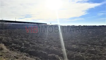 Otopeni - Strada Alexandru Ioan Cuza - imagine 9