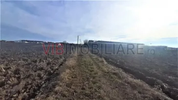 Otopeni - Strada Alexandru Ioan Cuza - imagine 5