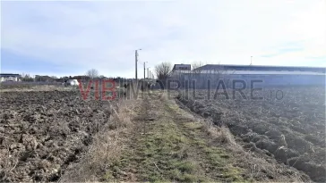 Otopeni - Strada Alexandru Ioan Cuza - imagine 8