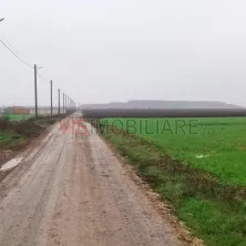 Dragomiresti-Vale - Strada Ulmului, teren intravilan, suprafata 3.750 mp - imagine 3