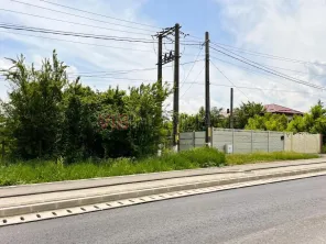Balotesti - Caciulati, teren intravilan, suprafata 2.596 mp - imagine 5
