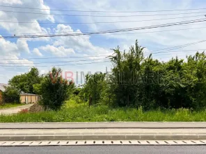 Balotesti - Caciulati, teren intravilan, suprafata 2.596 mp - imagine 2