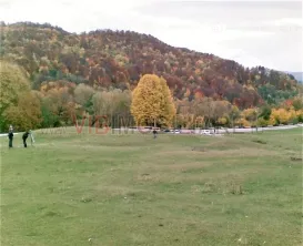 Breaza - Nistoresti, Str. Muresului, teren intravilan, suprafata 6.144 mp - imagine 5