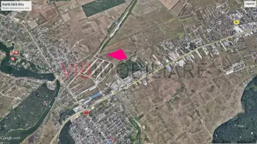 Mogosoaia - Ciupercarie, teren extravilan, suprafata 70.000 mp - imagine 3