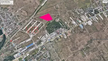 Mogosoaia - Ciupercarie, teren extravilan, suprafata 70.000 mp - imagine 2