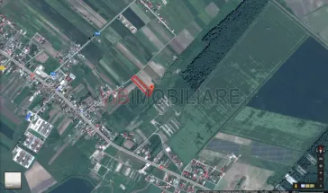 Tartasesti - Biserica Noua, teren extravilan, suprafata 5.000 mp - imagine 2