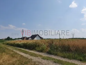 Izvorani Snagov, Str Maresal Averescu zona vile noi cu toate utilitatile - imagine 4