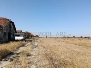 OPORTUNITATE DE INVESTIȚIE – PISCHIA, JUDEȚUL TIMIȘ - imagine 9