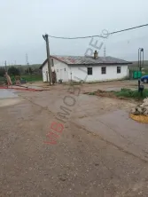 FERMA ZOOTEHNICĂ DE VÂNZARE – ZONA SIBIOARA, JUDEȚUL CONSTANȚA - imagine 4