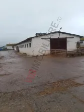 FERMA ZOOTEHNICĂ DE VÂNZARE – ZONA SIBIOARA, JUDEȚUL CONSTANȚA - imagine 6