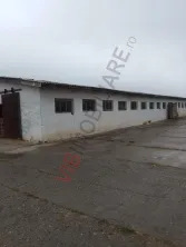 FERMA ZOOTEHNICĂ DE VÂNZARE – ZONA SIBIOARA, JUDEȚUL CONSTANȚA - imagine 5